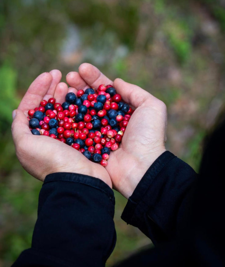 Leaving the hamster wheel